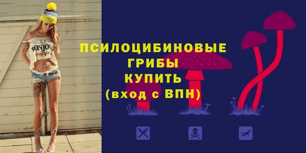 молекула духа Алексеевка
