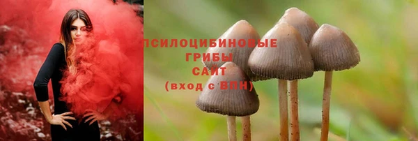ECSTASY Алексин
