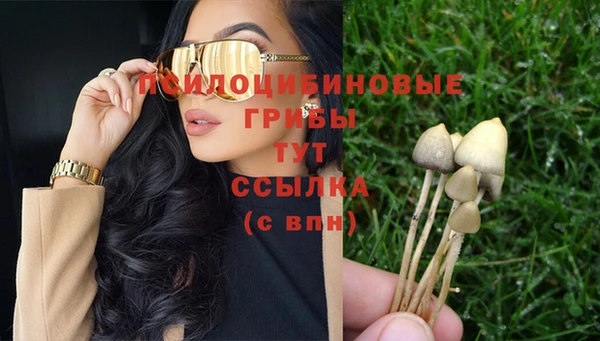 ПСИЛОЦИБИНОВЫЕ ГРИБЫ Алзамай