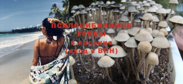 ПСИЛОЦИБИНОВЫЕ ГРИБЫ Алзамай