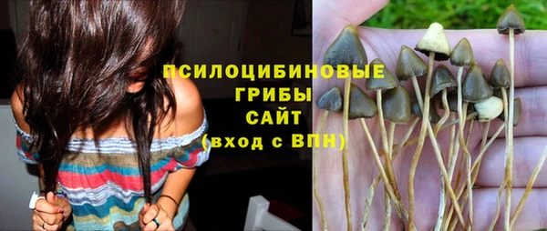 ПСИЛОЦИБИНОВЫЕ ГРИБЫ Алзамай