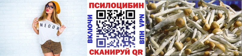 Галлюциногенные грибы GOLDEN TEACHER  Сольвычегодск 